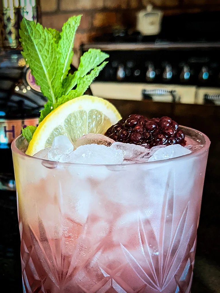 Fruity Gin Bramble